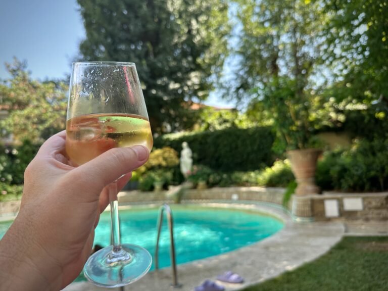 solo traveller wine